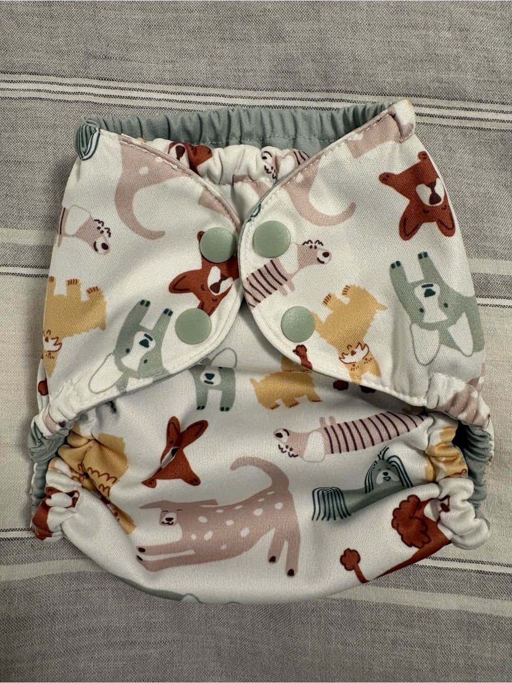 Esembly Size 1 Off-Leash Outer Cloth Diaper Cover & Swim Diaper
